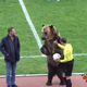 Illustration for article titled Enormous, Real-Life Bear Oversees Kickoff Of Russian Soccer Match